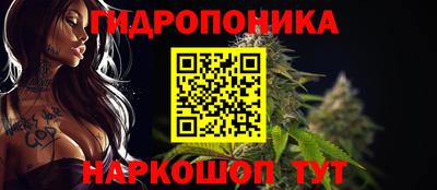 гидропоника Будённовск