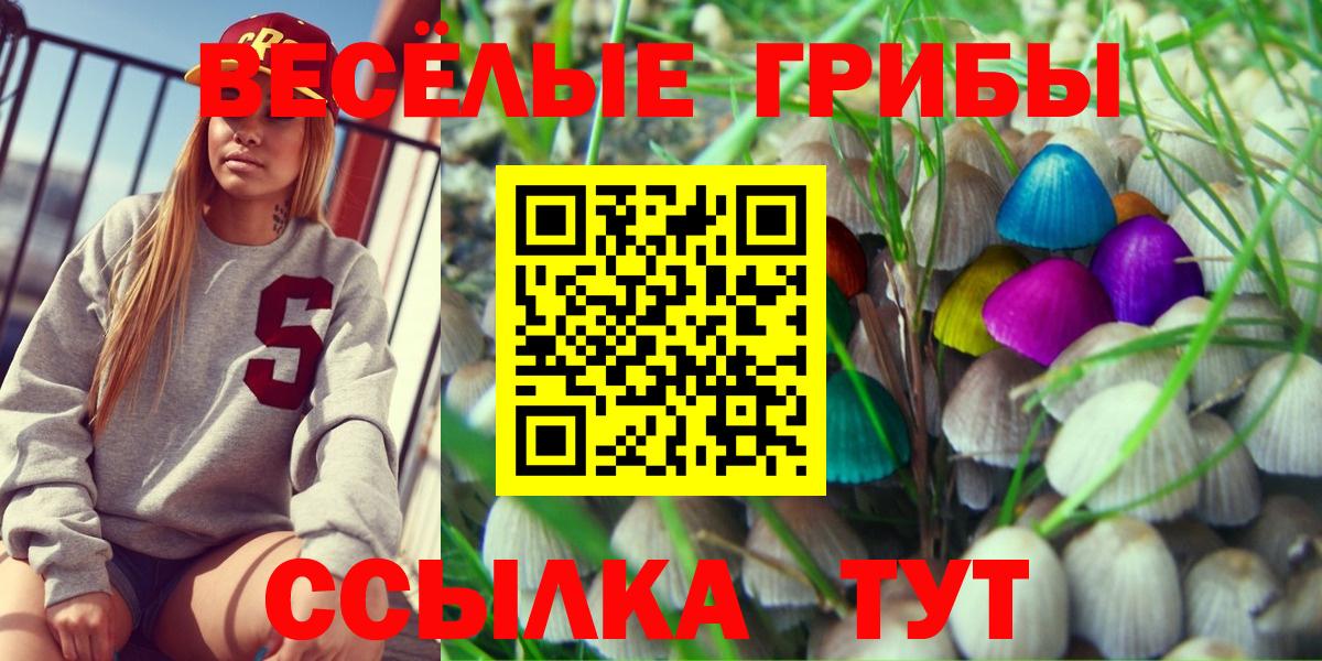 Галлюциногенные грибы MAGIC MUSHROOMS Хабаровск