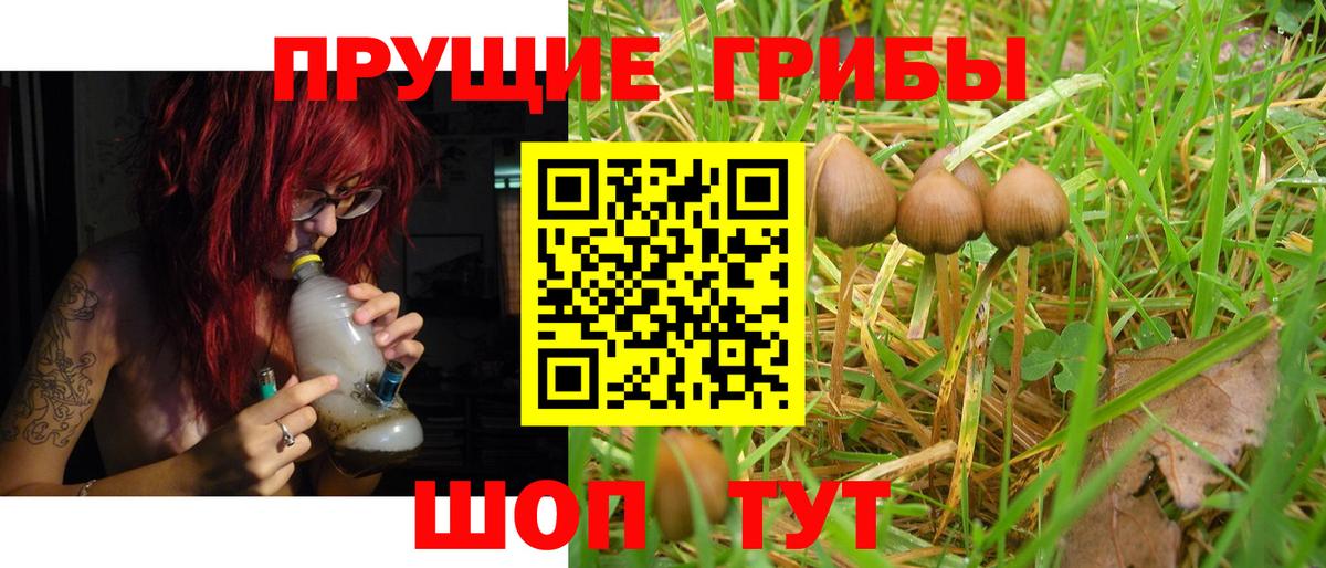 Галлюциногенные грибы прущие грибы  цена наркотик  Хабаровск  Вход с VPN 